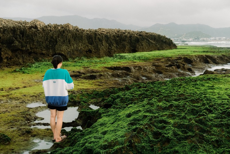 mùa rêu Hòn Đỏ