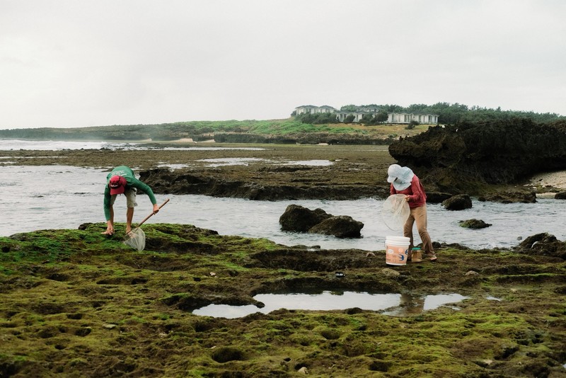 mùa rêu Hòn Đỏ
