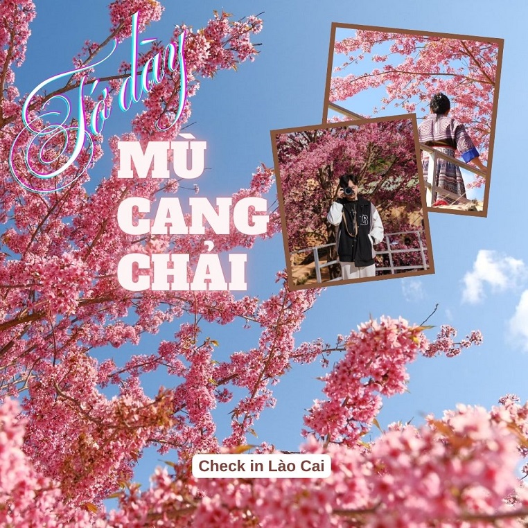 Chuyến đi Mù Cang Chải 2N2Đ mùa hoa tớ dày đẹp nhất: "Hoa có chỗ đang tàn dần rồi nhưng vẫn còn nhiều điểm nở đẹp"