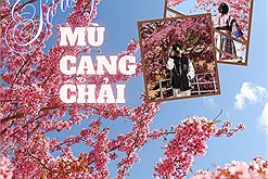 Chuyến đi Mù Cang Chải 2N2Đ mùa hoa tớ dày đẹp nhất: "Hoa có chỗ đang tàn dần rồi nhưng vẫn còn nhiều điểm nở đẹp"