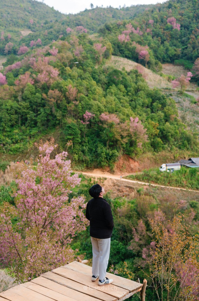 Mù Cang Chải 2N2Đ mùa hoa tớ dày