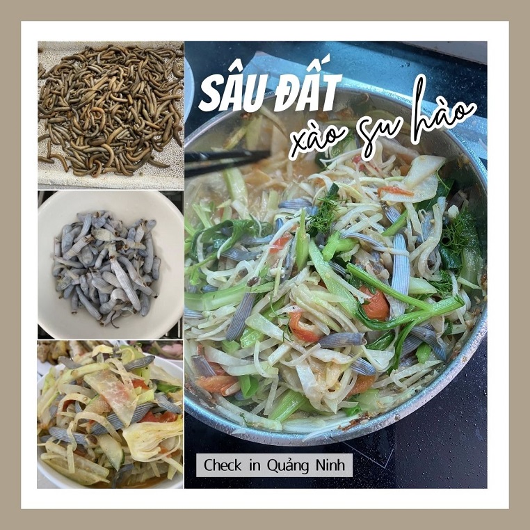 Cùng tìm hiểu về món ăn độc đáo sâu đất xào su hào của vùng biển Quảng Ninh
