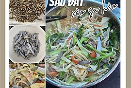 Cùng tìm hiểu về món ăn độc đáo sâu đất xào su hào của vùng biển Quảng Ninh