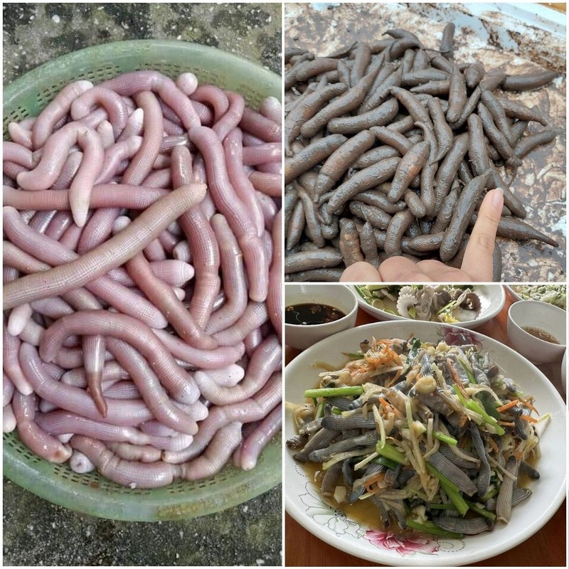 món ăn độc đáo sâu đất xào su hào