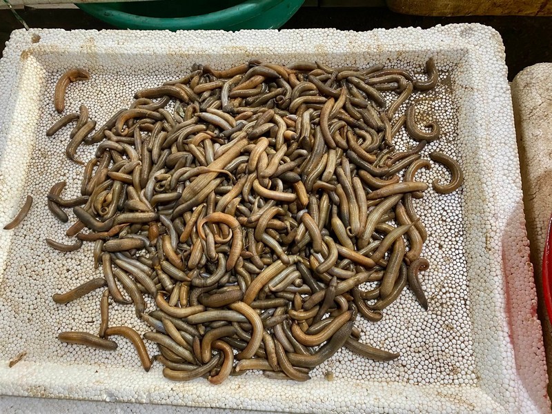 món ăn độc đáo sâu đất xào su hào