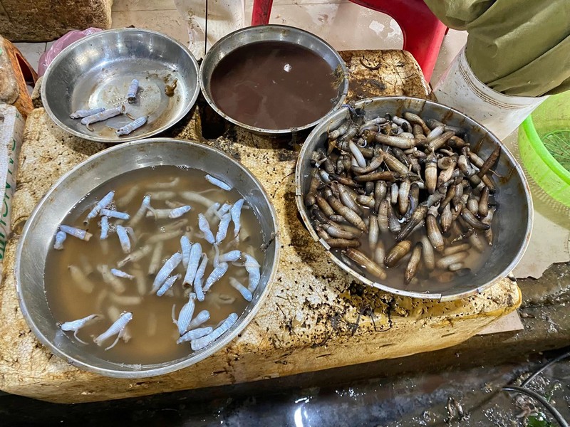 món ăn độc đáo sâu đất xào su hào