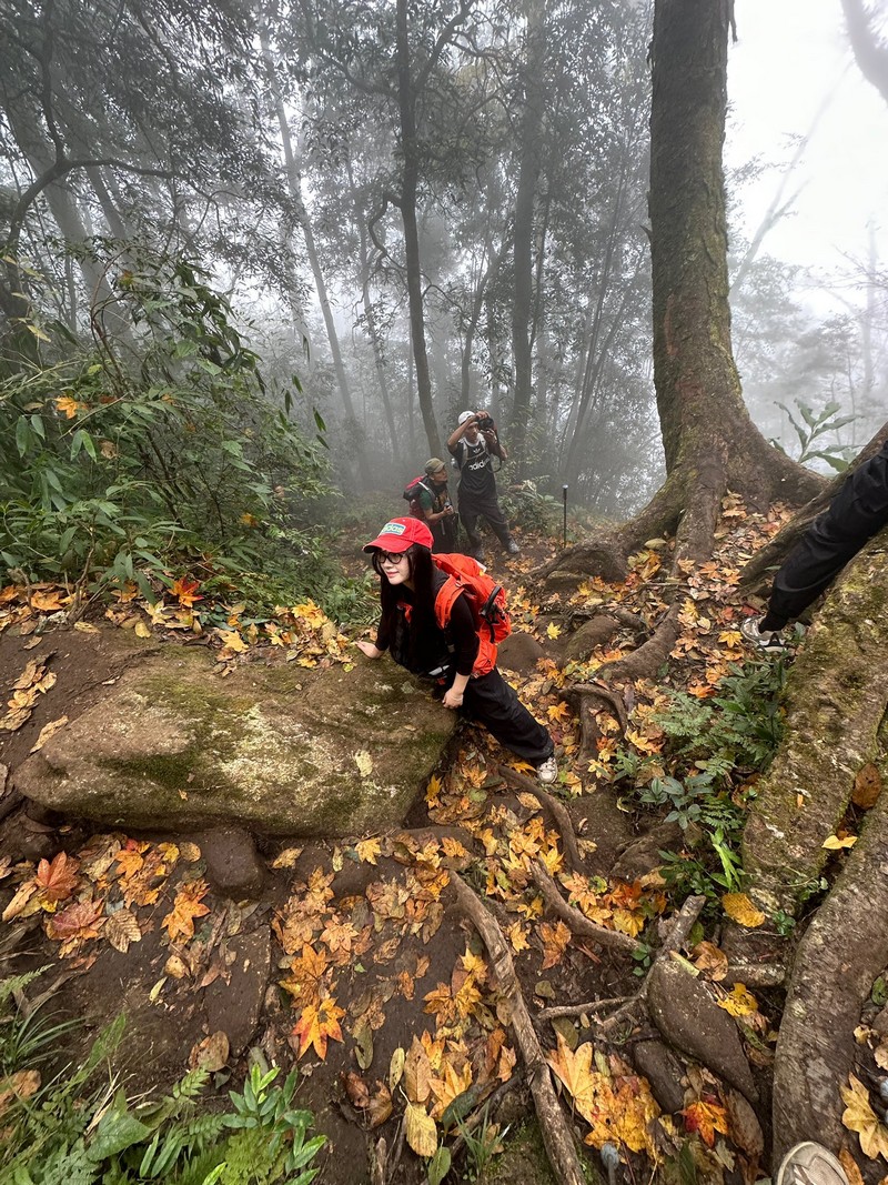 cô bạn đi leo núi cao 3.046 m