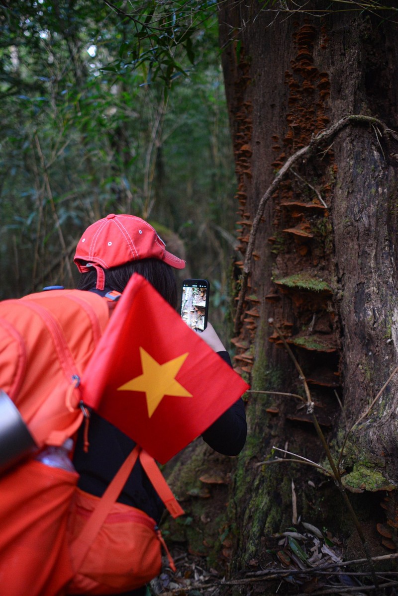 cô bạn đi leo núi cao 3.046 m
