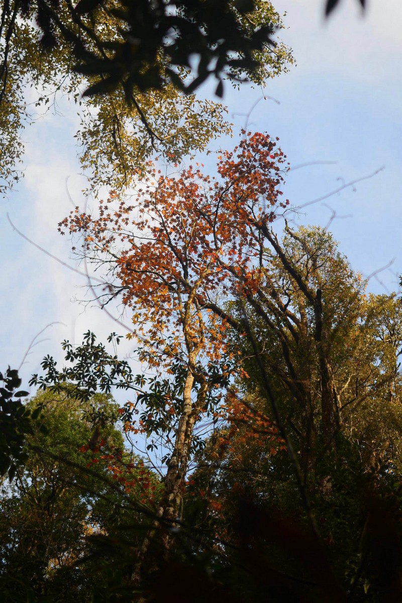 cô bạn đi leo núi cao 3.046 m