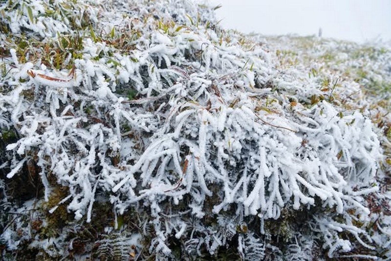 Băng giá xuất hiện ở 3 địa điểm