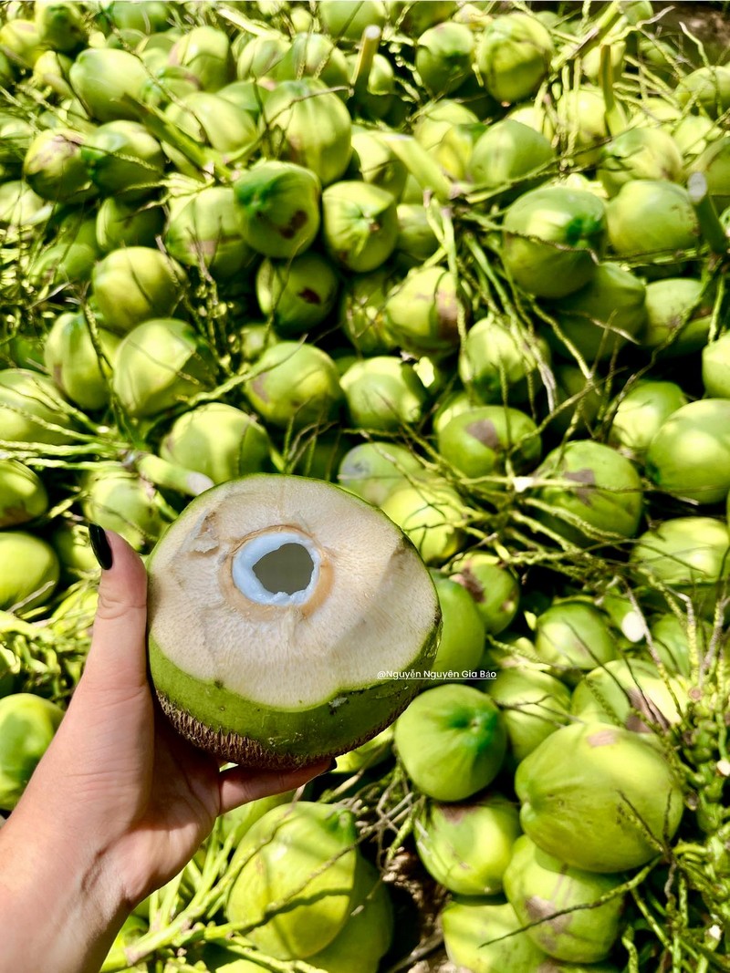 Cách làm mứt dừa Bến Tre