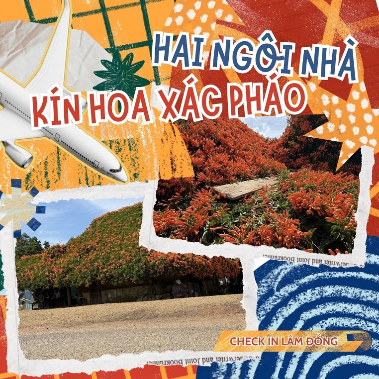 Kỳ thú hai ngôi nhà phủ đầy loài hoa lạ màu cam tại Lâm Đồng