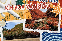 Kỳ thú hai ngôi nhà phủ đầy loài hoa lạ màu cam tại Lâm Đồng