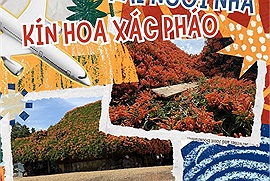 Kỳ thú hai ngôi nhà phủ đầy loài hoa lạ màu cam tại Lâm Đồng