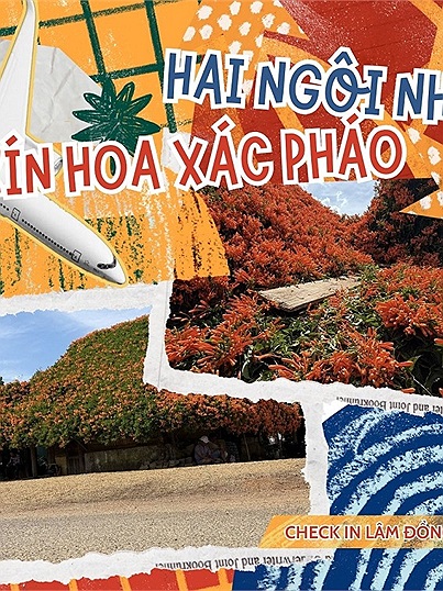 Kỳ thú hai ngôi nhà phủ đầy loài hoa lạ màu cam tại Lâm Đồng