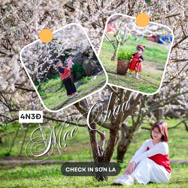 Lịch trình đi Mộc Châu 4N3Đ đón mùa hoa mận đầu năm: "Mộc Châu vào mùa hoa đẹp nhất rồi"