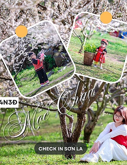 Lịch trình đi Mộc Châu 4N3Đ đón mùa hoa mận đầu năm: "Mộc Châu vào mùa hoa đẹp nhất rồi"