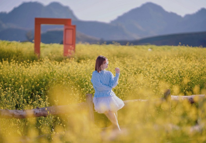 Mộc Châu 4N3Đ đón mùa hoa mận đầu năm