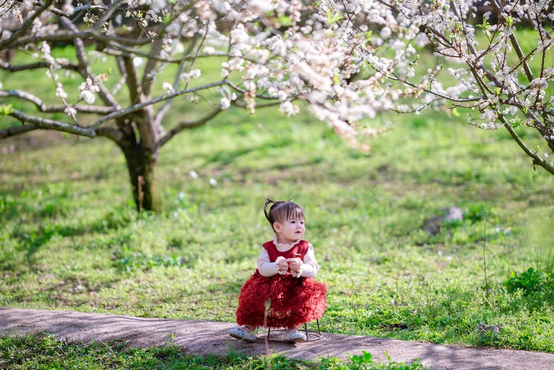 Mộc Châu 4N3Đ đón mùa hoa mận đầu năm