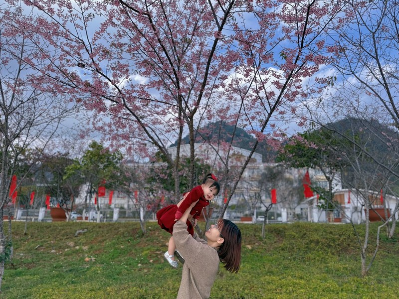 Mộc Châu 4N3Đ đón mùa hoa mận đầu năm