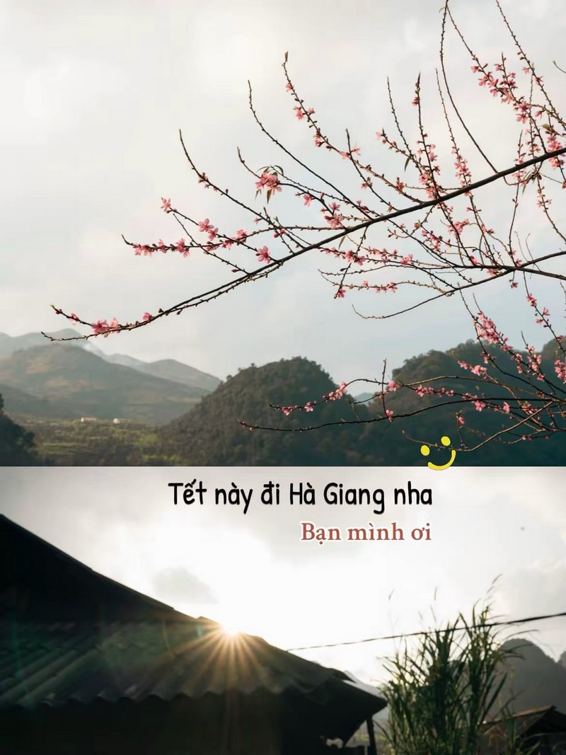 Cộng đồng mạng đồng loạt báo tin xuân về trên bản