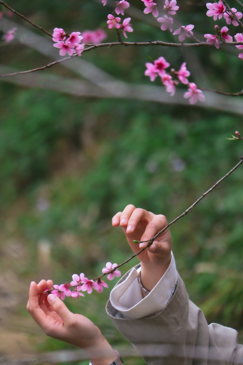 Cộng đồng mạng đồng loạt báo tin xuân về trên bản