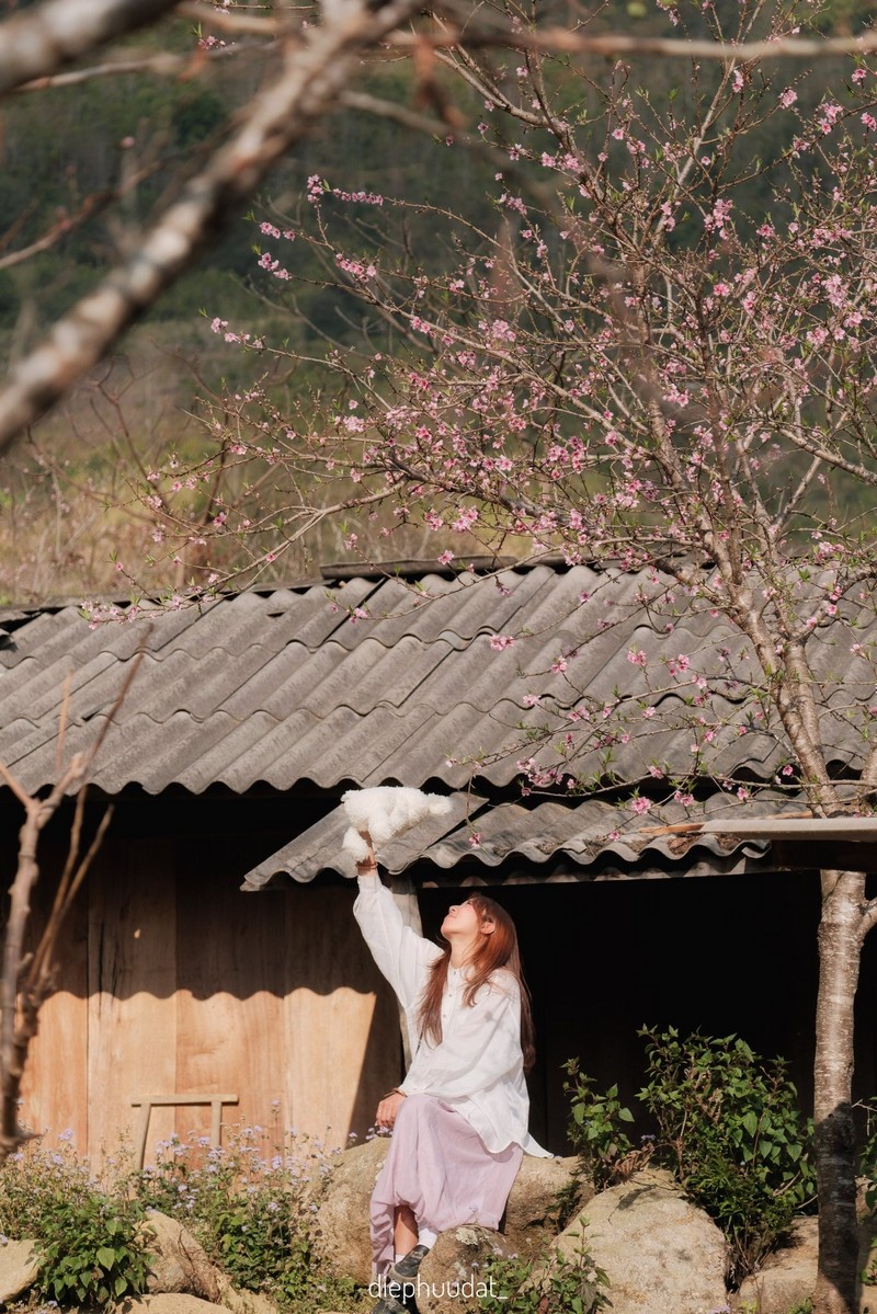 Cộng đồng mạng đồng loạt báo tin xuân về trên bản