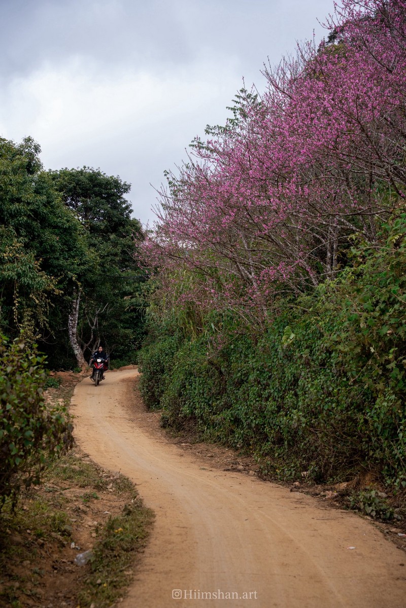 Cộng đồng mạng đồng loạt báo tin xuân về trên bản