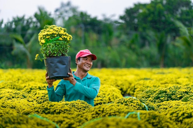 Check in Chợ Lách Sa Đéc Mỹ Phong