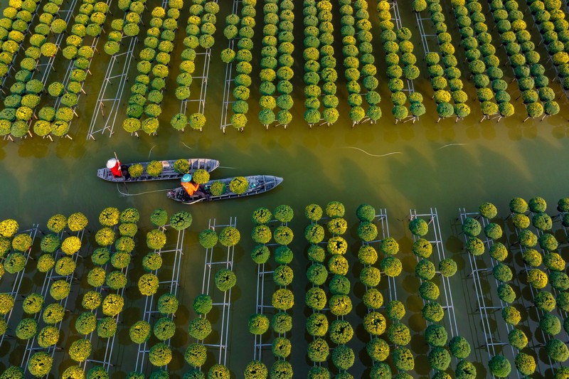 Check in Chợ Lách Sa Đéc Mỹ Phong