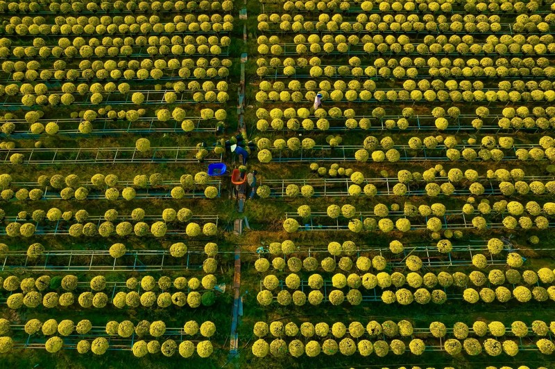 Check in Chợ Lách Sa Đéc Mỹ Phong