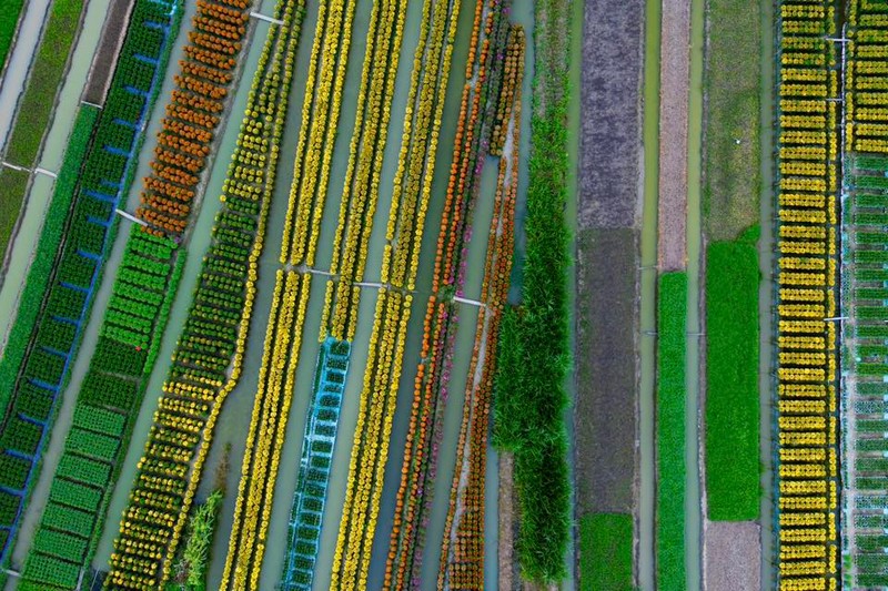 Check in Chợ Lách Sa Đéc Mỹ Phong