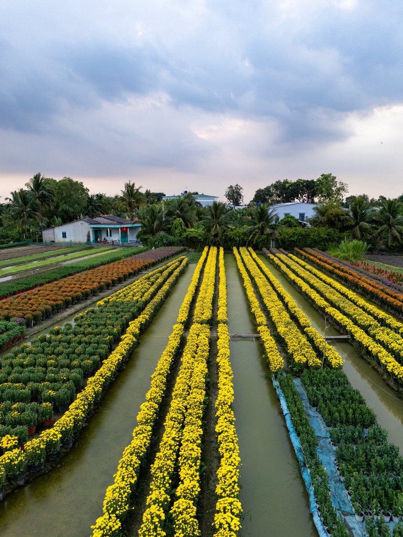 Check in Chợ Lách Sa Đéc Mỹ Phong