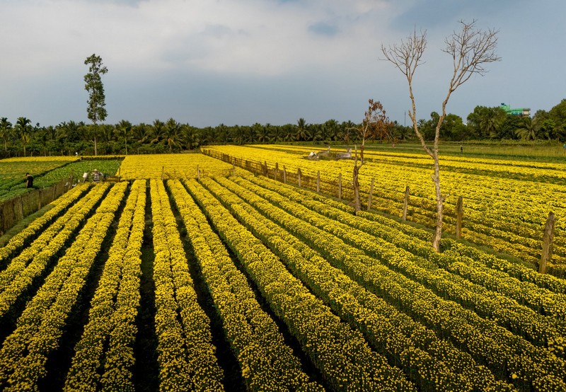 Check in Chợ Lách Sa Đéc Mỹ Phong