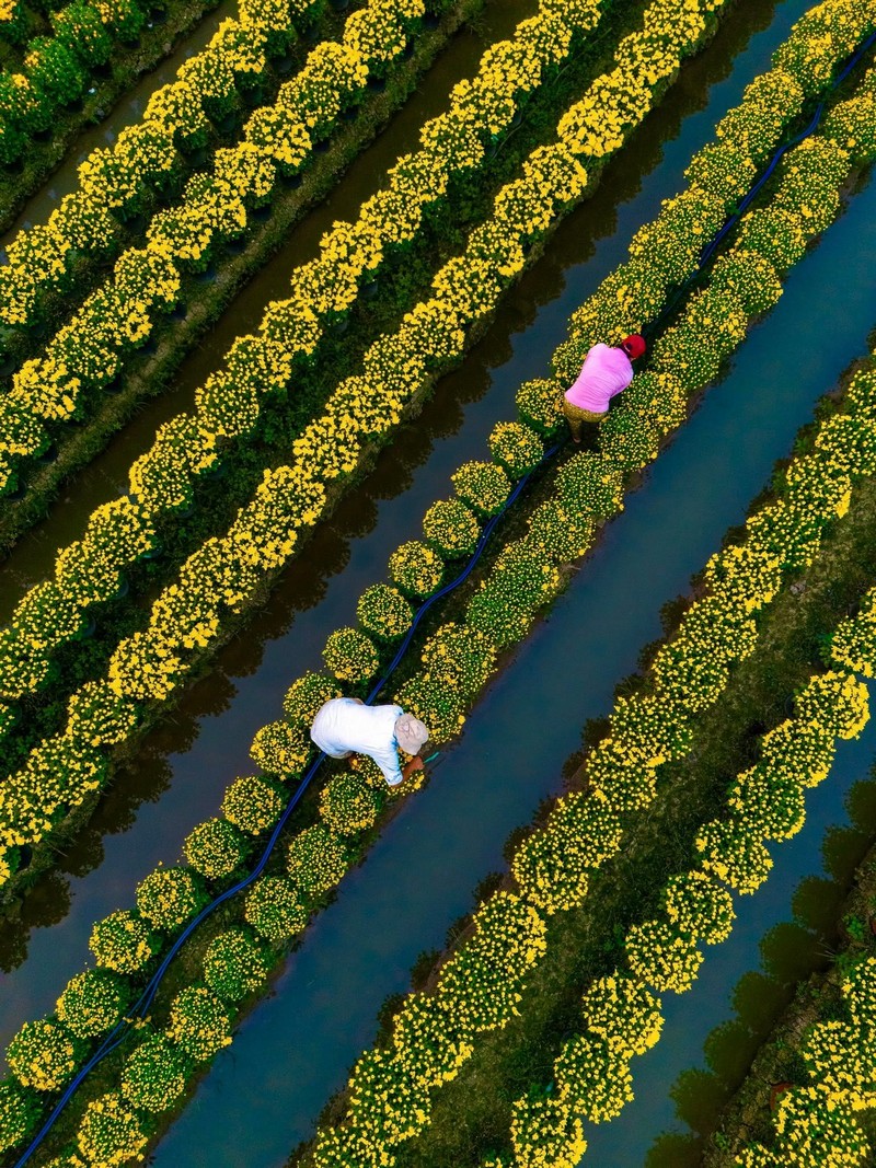 Check in Chợ Lách Sa Đéc Mỹ Phong