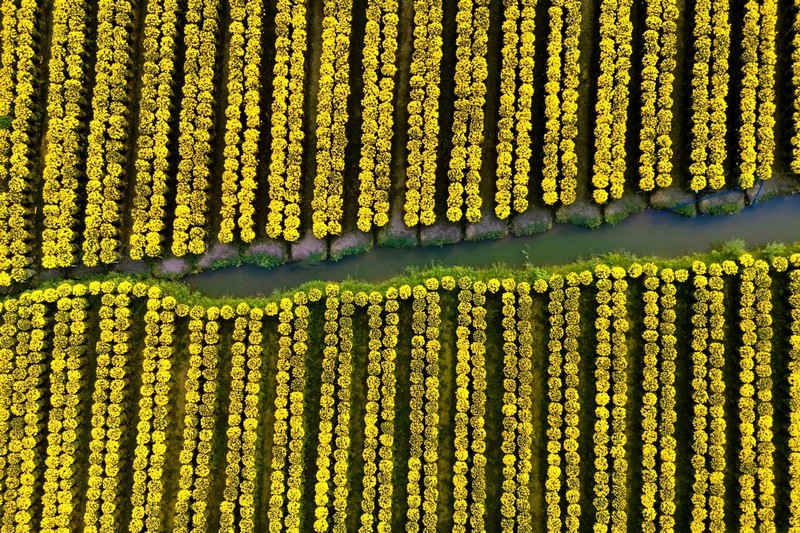 Check in Chợ Lách Sa Đéc Mỹ Phong
