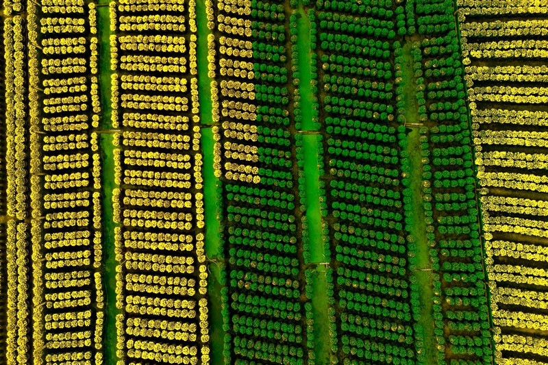 Check in Chợ Lách Sa Đéc Mỹ Phong