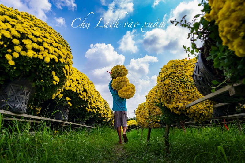 Check in Chợ Lách Sa Đéc Mỹ Phong