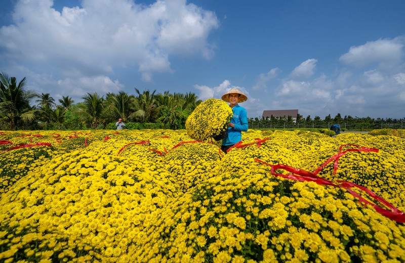 Check in Chợ Lách Sa Đéc Mỹ Phong