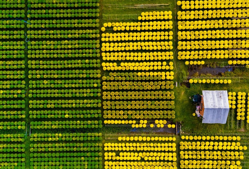 Check in Chợ Lách Sa Đéc Mỹ Phong