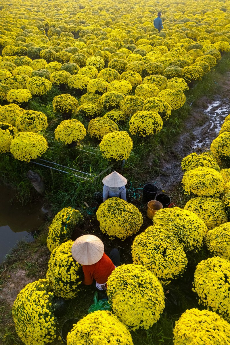 Check in Chợ Lách Sa Đéc Mỹ Phong