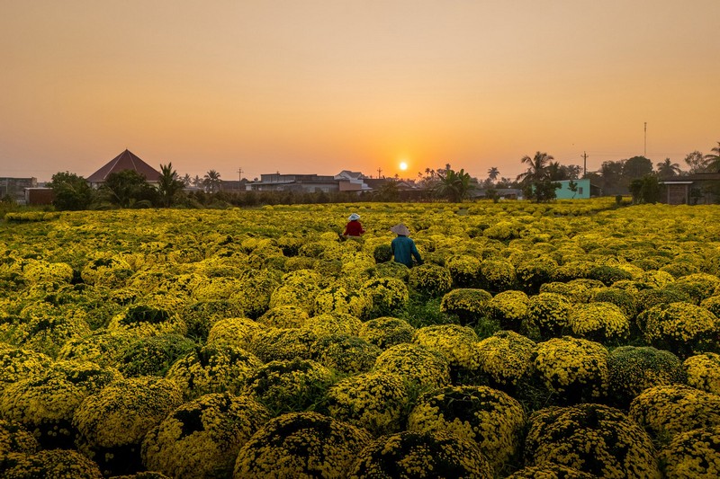 Check in Chợ Lách Sa Đéc Mỹ Phong