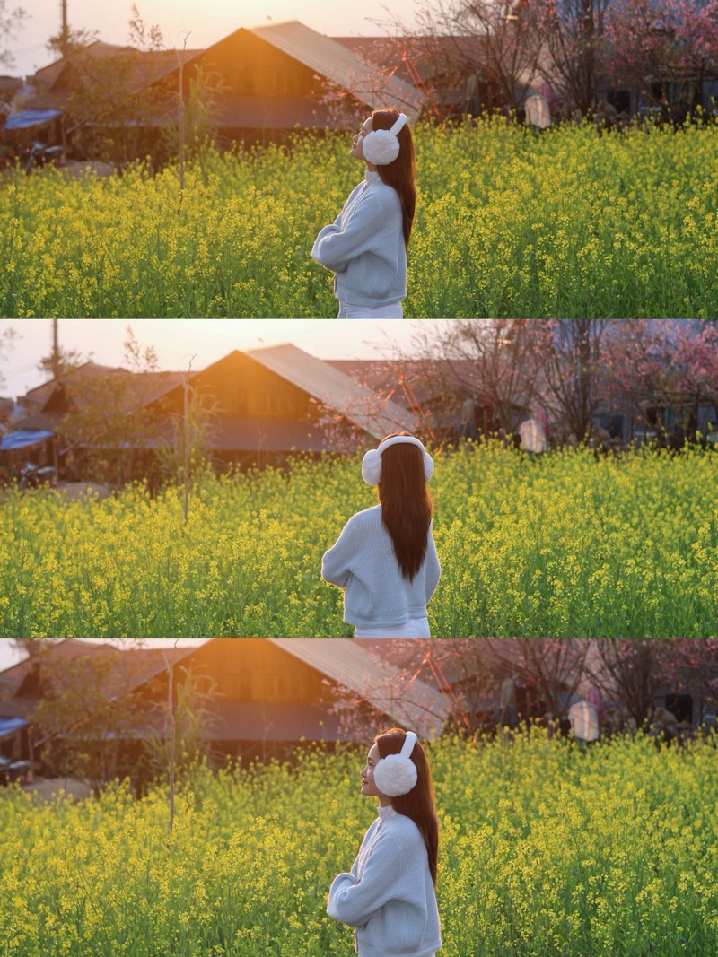 Sì Thâu Chải mùa hoa anh đào