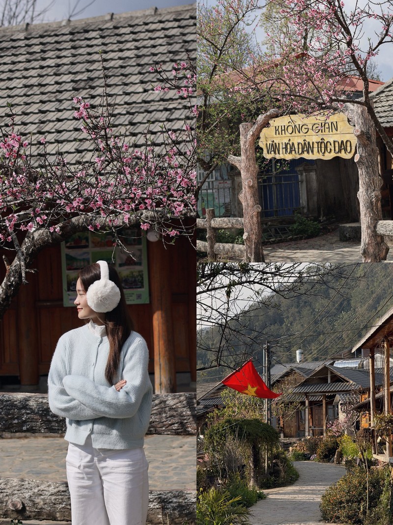 Sì Thâu Chải mùa hoa anh đào