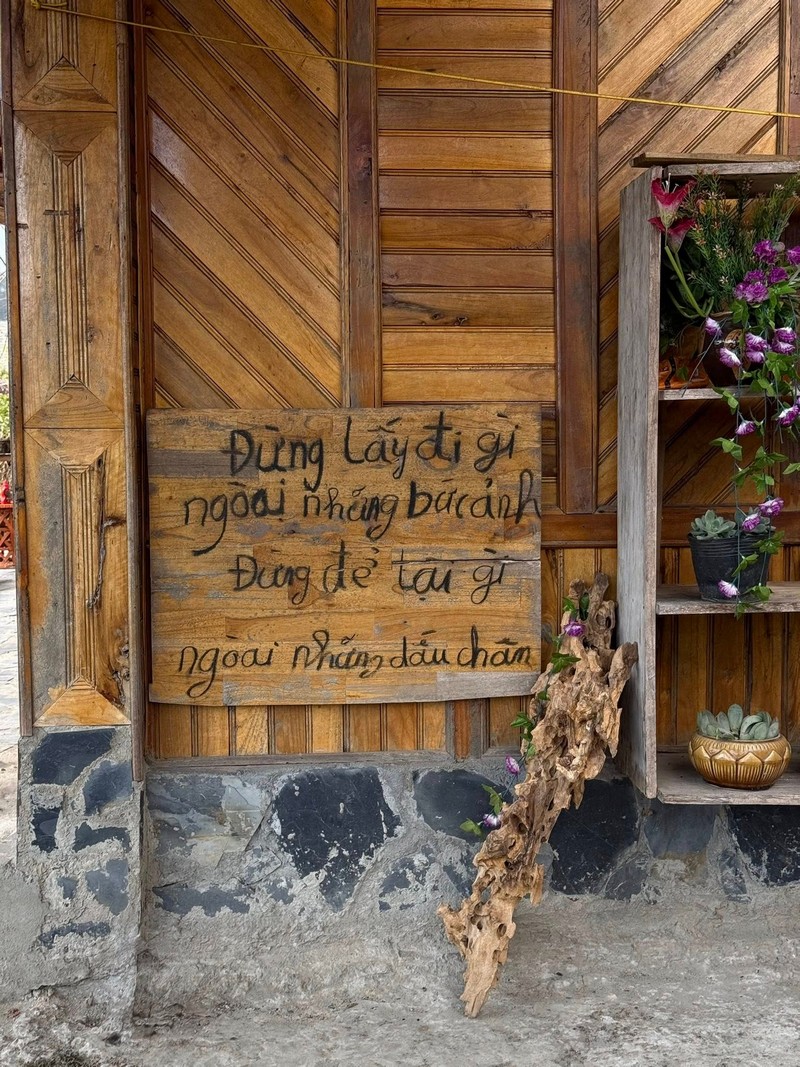 Sì Thâu Chải mùa hoa anh đào