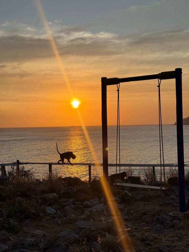 5 trải nghiệm không thể bỏ lỡ khi khám phá Côn Đảo