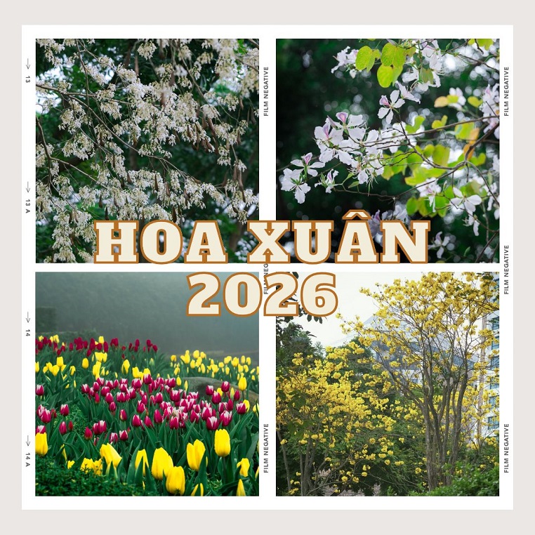 Cộng đồng Check in Vietnam dạt dào cảm xúc với mùa hoa xuân nở rộ khắp ba miền