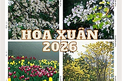 Cộng đồng Check in Vietnam dạt dào cảm xúc với mùa hoa xuân nở rộ khắp ba miền