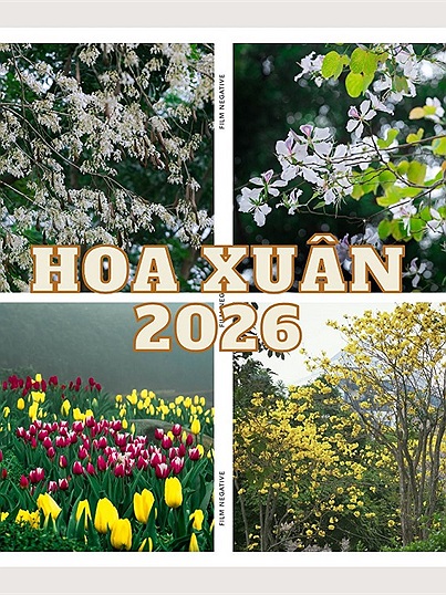 Cộng đồng Check in Vietnam dạt dào cảm xúc với mùa hoa xuân nở rộ khắp ba miền