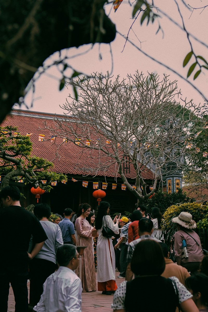 lễ hội xuân Bính Ngọ từ Bắc chí Nam